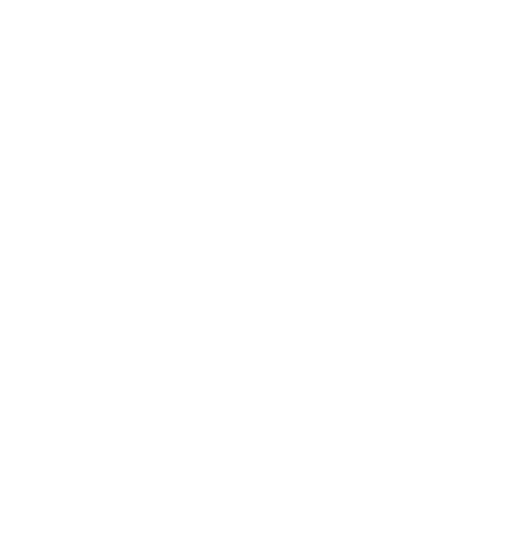 Qué es WIT